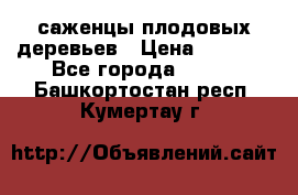 саженцы плодовых деревьев › Цена ­ 6 080 - Все города  »    . Башкортостан респ.,Кумертау г.